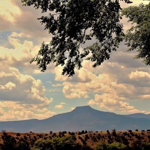 Meet your Posher, Arnie